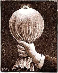 The Mamary Sympathizer