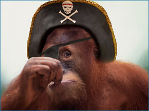 orangutan pirate holding nose at the thought of reading 