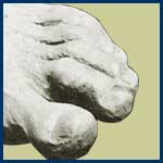 leonard's toenails